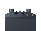 Lenco PA-systeem PA-220BK, 2 microfoons,, BT, feestverlichting, 120W RMS