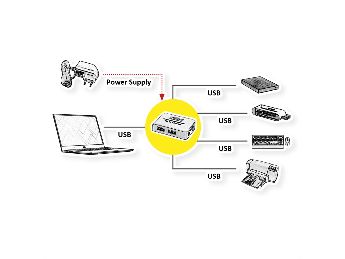 ROLINE USB 2.0 Hub, "Black and White", 4 poorts, met voeding