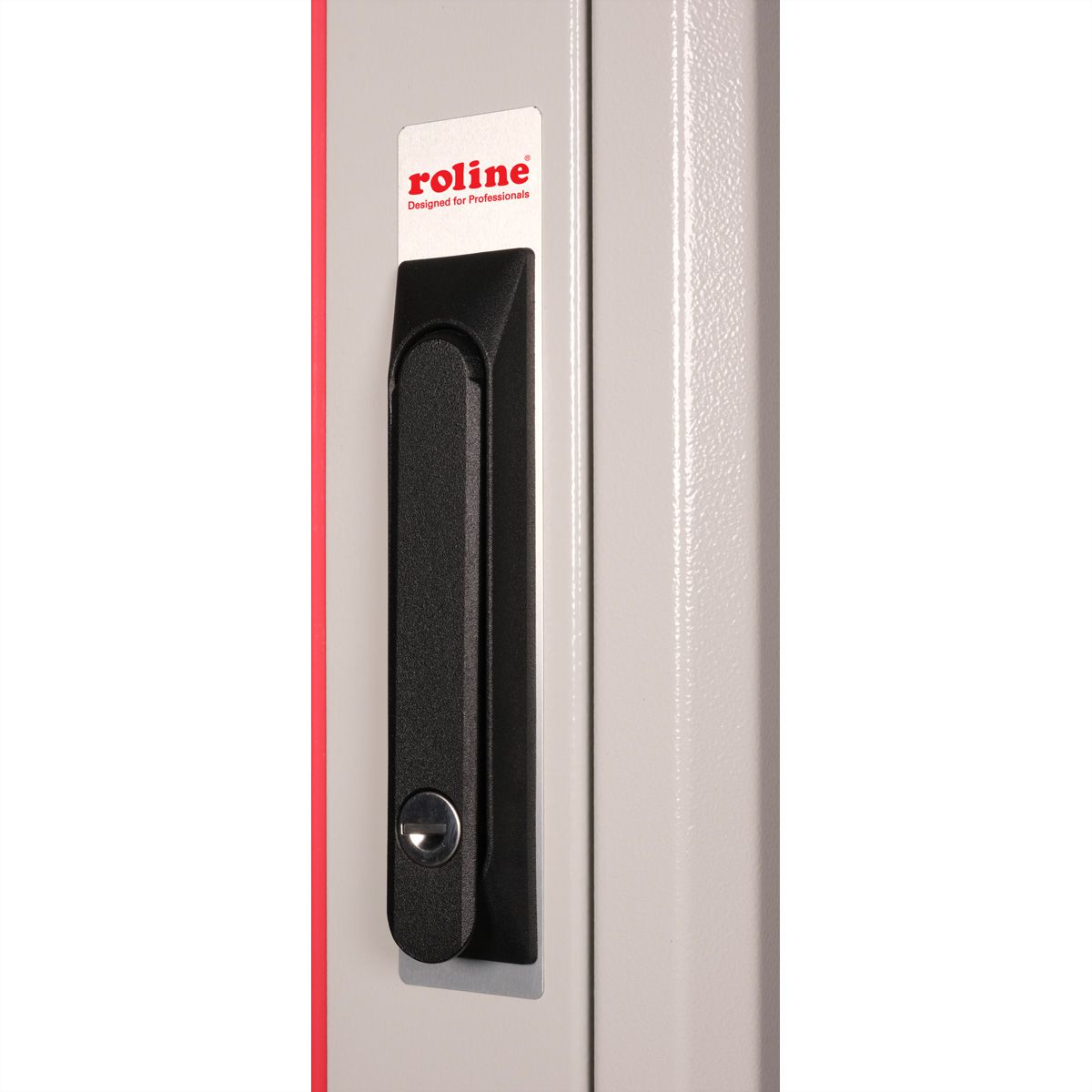 ROLINE 19-inch Network Cabinet Pro 42 U, 600x600 WxD glass door grey