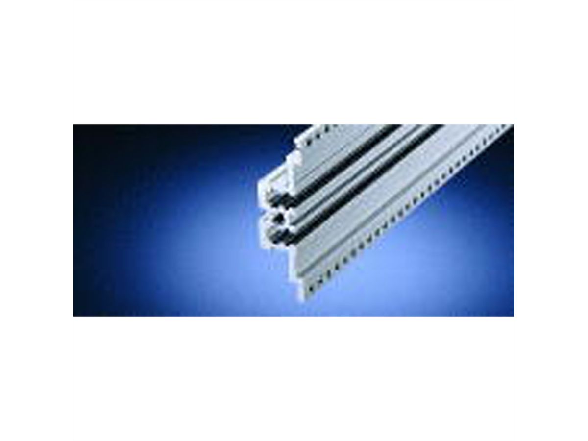 SCHROFF Horizontal Rail, Rear, Center, Type MZ, With Z-Rail, 40 HP