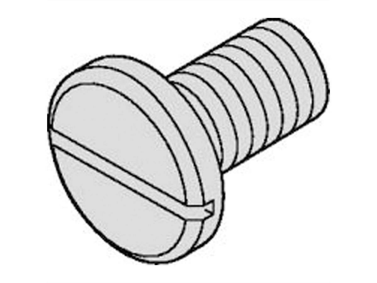 SCHROFF Countersunk head screw with cross recess - NTS-LISESHR 3X20, VERN.100pcs