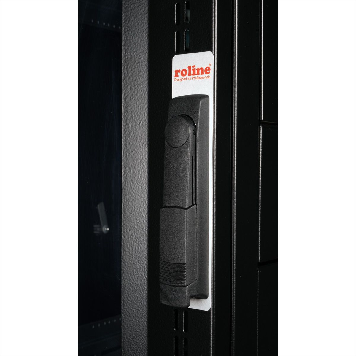 ROLINE 19-inch server rack Pro 42 U, 600x1000 WxD black Perspex