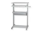 ROLINE PC Standing Workstation