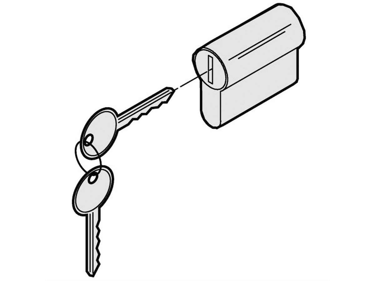 SCHROFF Varistar 19" Swing Frame Spare Part Key 333