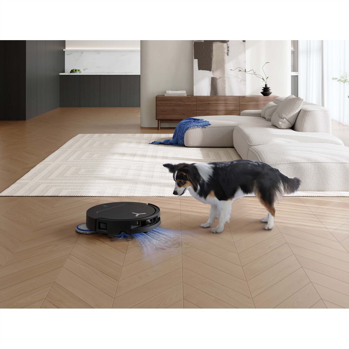 Ecovacs-stofzuigrobot DEEBOT T50 OMNI Gen3, zwart
