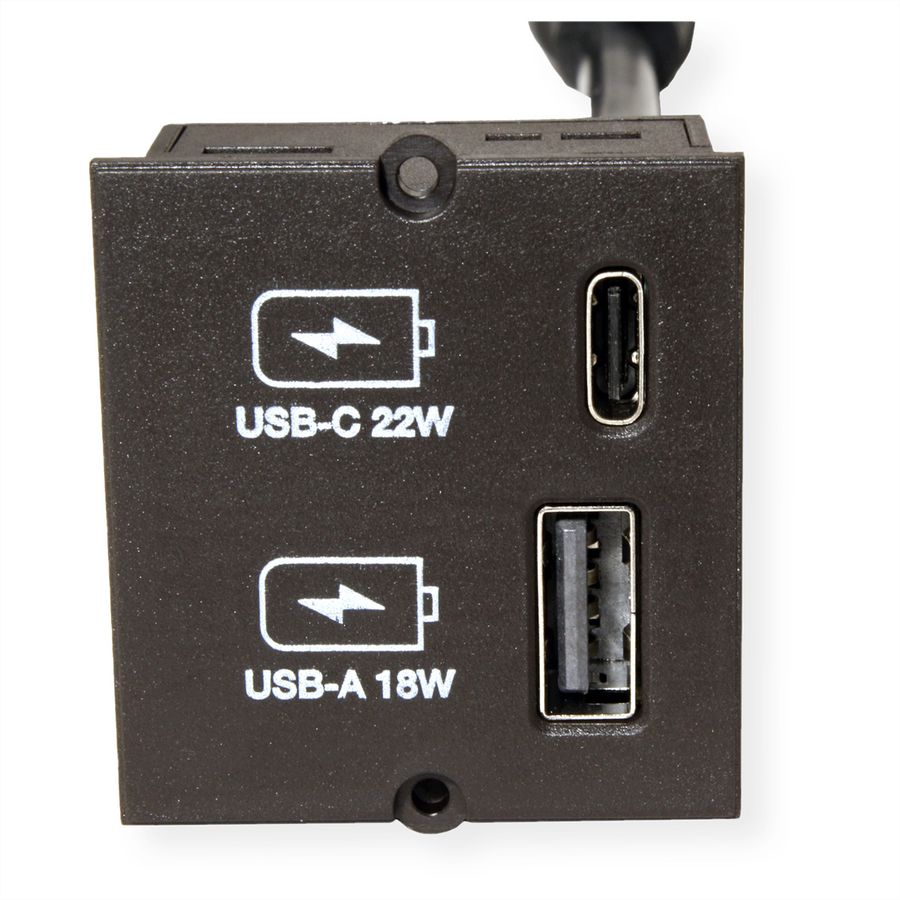 BACHMANN Custom USB Oplader Module Type A & Type C 22W, Snel opladen, zwart