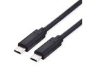 VALUE USB 2.0 Kabel, C–C, M/M, 100W, zwart, 2 m