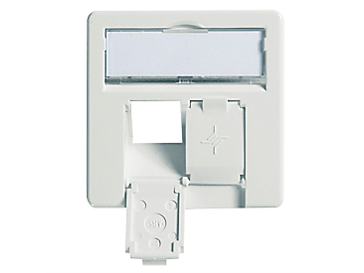 TELEGÄRTNER Faceplate for Telecommunications Outlets, alpine white