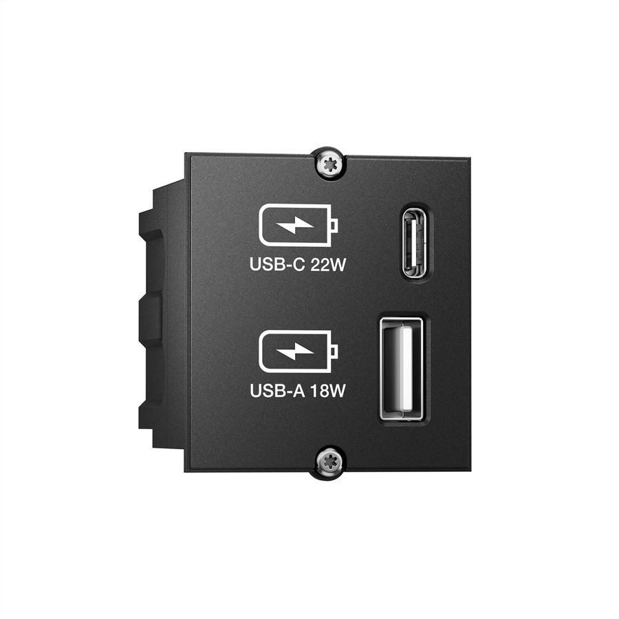 BACHMANN Custom USB Oplader Module Type A & Type C 22W, Snel opladen, zwart