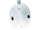 MOBOTIX Q26B hemisferische camera 6MP met B016-lens (180°/360° dag)