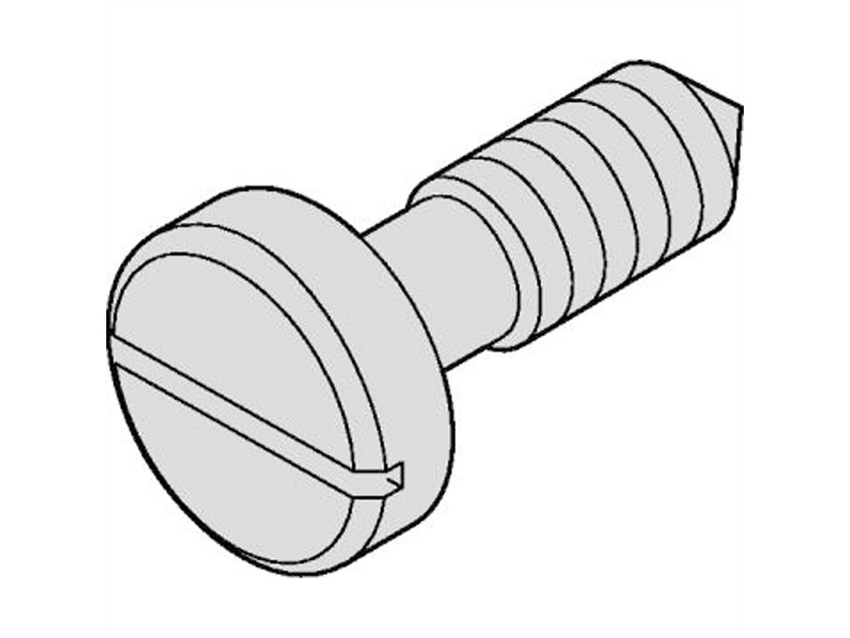 SCHROFF Kraagschroef met gleuf