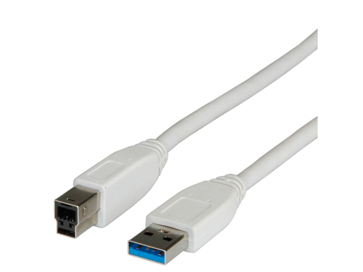STANDAARD USB 3.1 Gen 1-kabel, type A-B, beige, 0,8 m