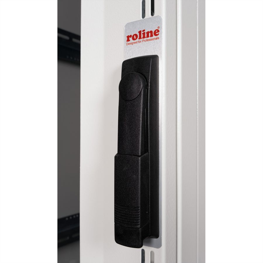 ROLINE 19-inch server rack Pro 36 U, 600x1000 WxD grey Plexiglas