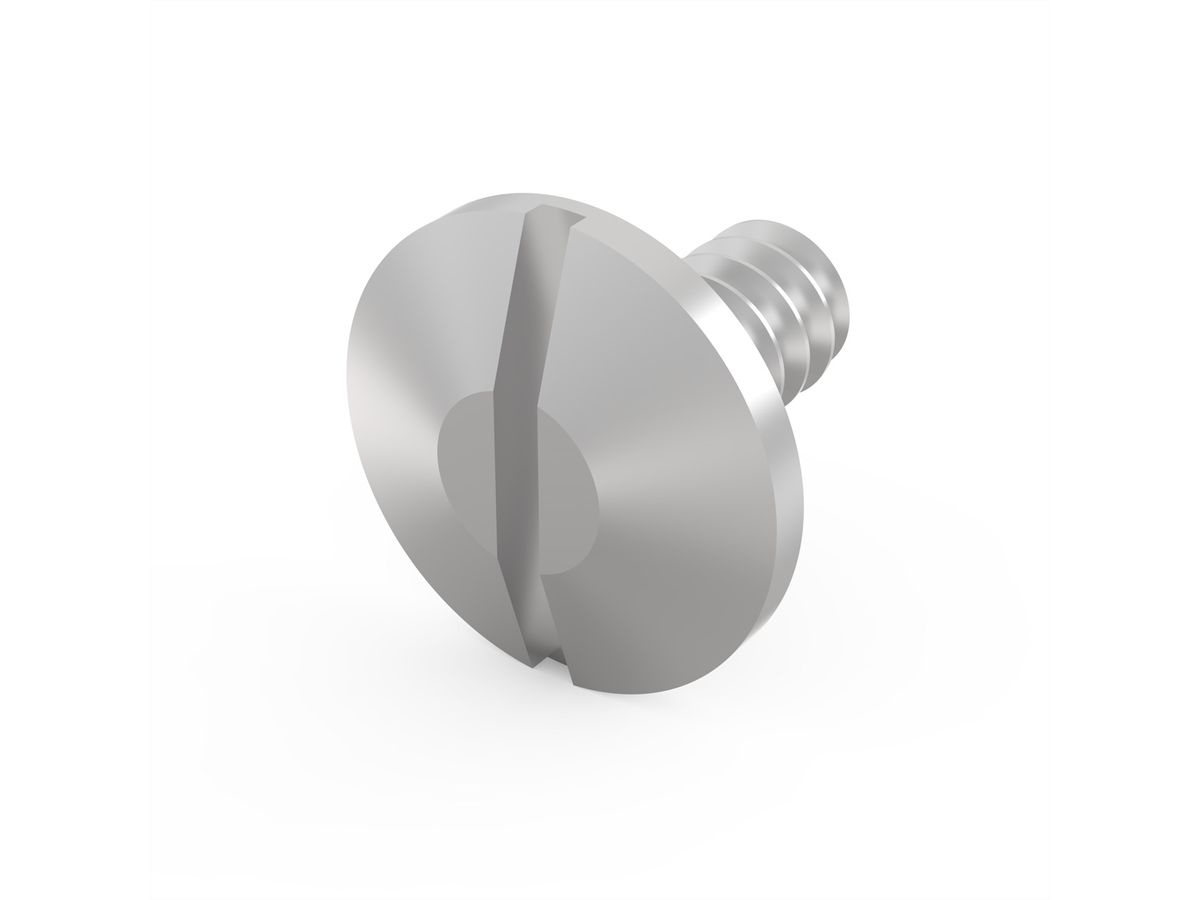 SCHROFF Screw for Drive Unit, UNC 6-32