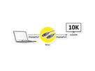 ROLINE DisplayPort v2.1 Kabel (AOC), M/M, 50 m