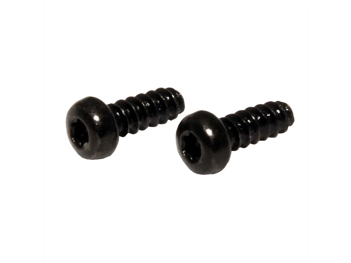 BACHMANN Torx T6 screws for custom modules, 10 pcs.