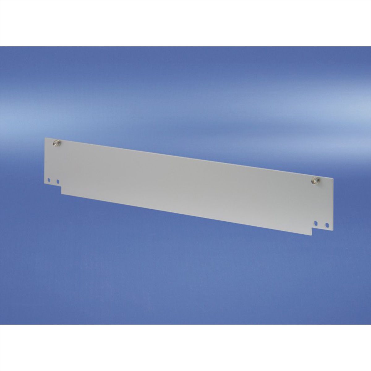SCHROFF Inpac Front Panel, Bottom-Hinged, 2 U, 2.5 mm, Al, Anodized, Untreated Edges