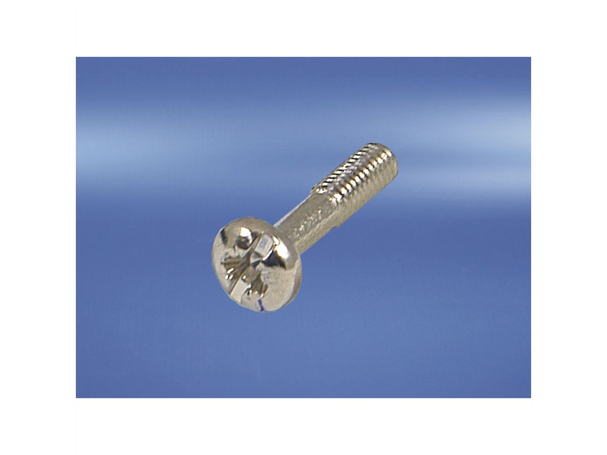 SCHROFF Kraagschroef, kruisgleuf/gleuf, M2,5 x 12,3 mm, staal, vernikkeld, 100 stuks