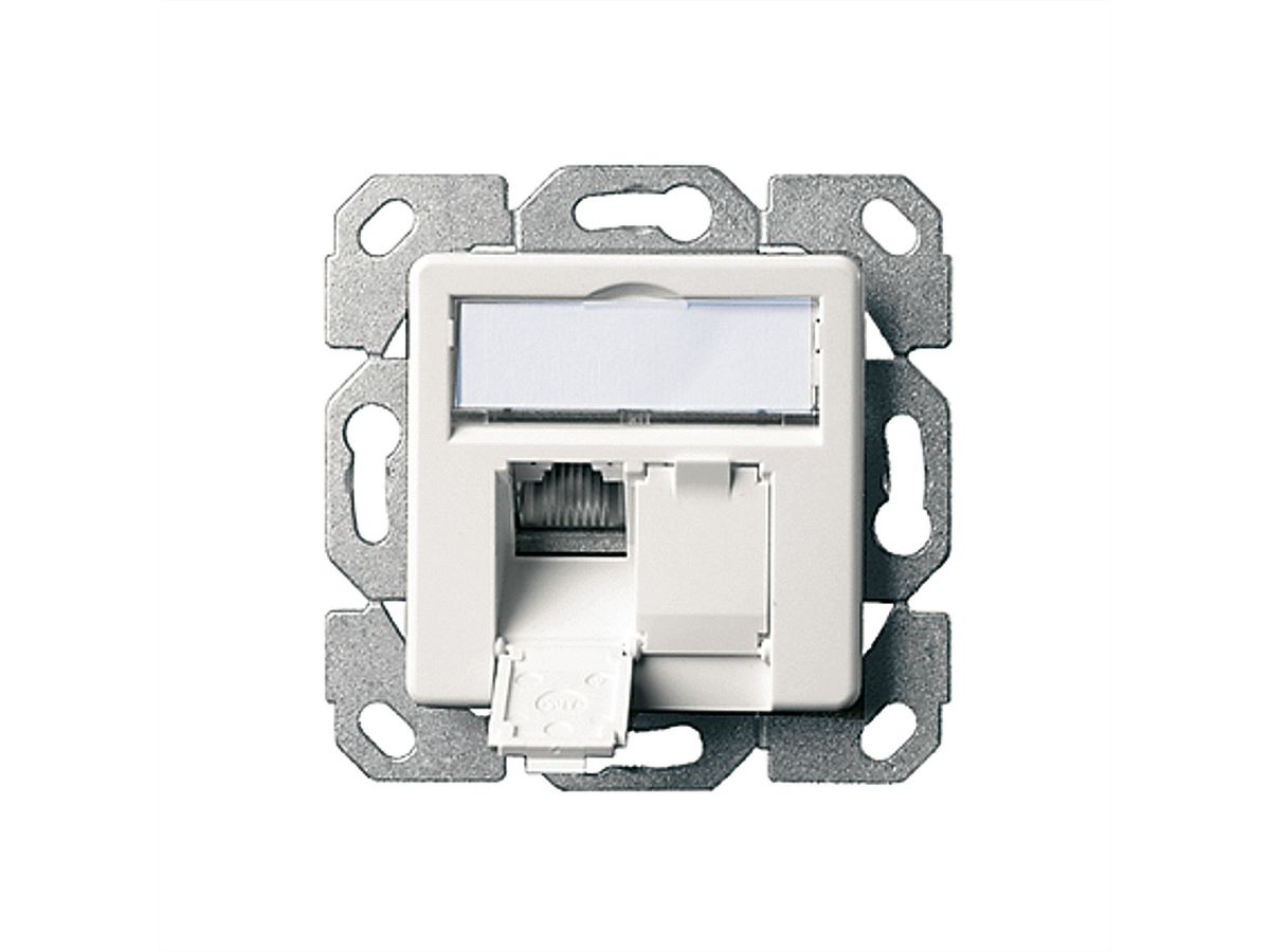 TELEGÄRTNER Dose AMJ45 UP/50 2x RJ-45 Kat.6A (Class EA), perlweiss