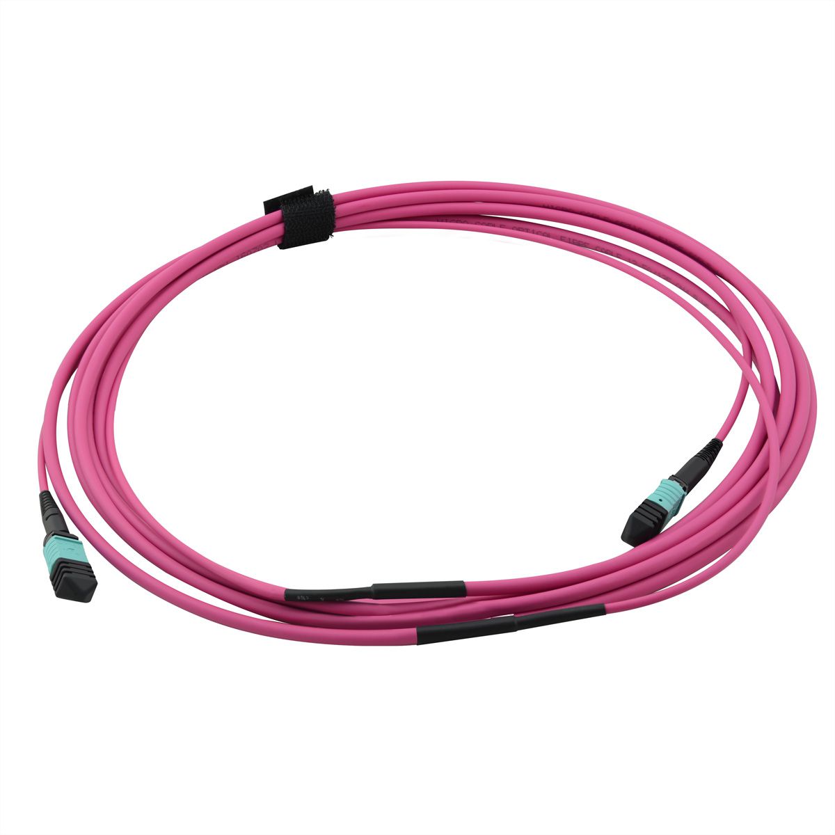 VALUE MPO Trunk Kabel 50/125µm OM4, MPO/MPO, violet, 3 m