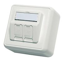 Opbouwdoos Modulehouder zuiver wit, 2-voudig