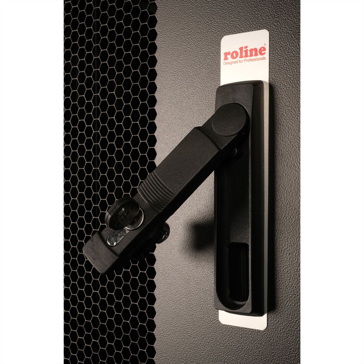 ROLINE colocation-kast 42HE 800x1000 mm, 2 compartimenten, zwart