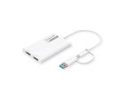 ROLINE Multi-DisplayLink Adapter USB Type A+C - 2x HDMI, Multi-Stream 4K
