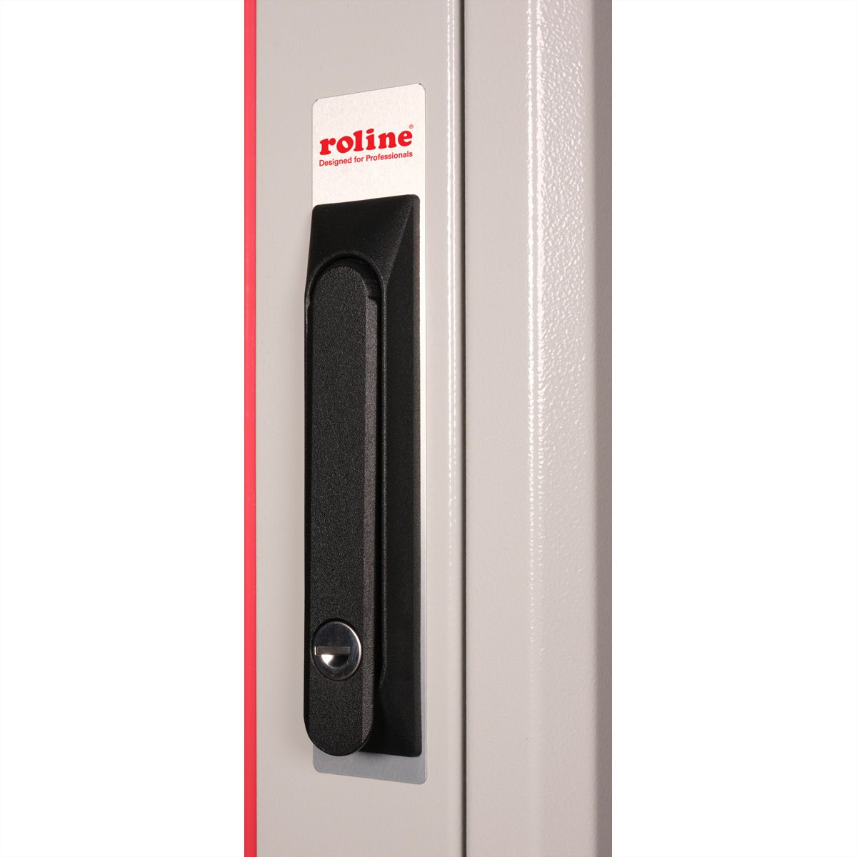 ROLINE 19-inch Network Cabinet Basic 42 U, 800x800 WxD glass door grey