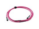 VALUE MPO Trunk Kabel 50/125µm OM4, MPO/MPO, violet, 3 m