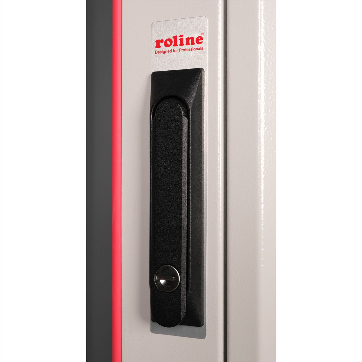 ROLINE 19-inch netwerkkast Pro 32 U, 600x600 BxD Glazen deur grijs