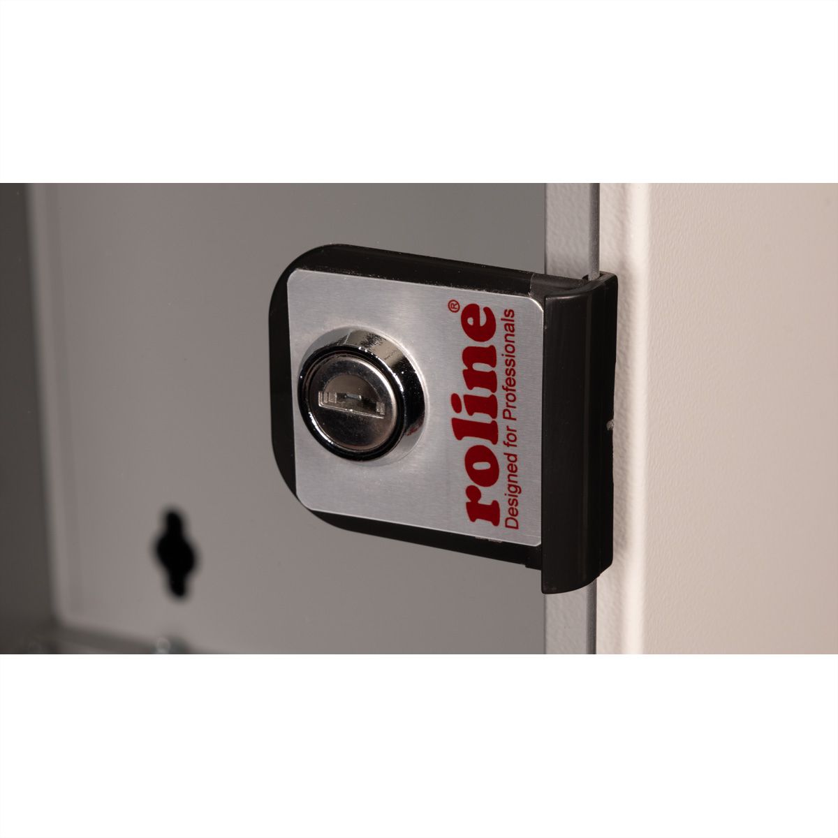 ROLINE 10-inch wandbehuizing 9 U, 312x300 BxD grijs