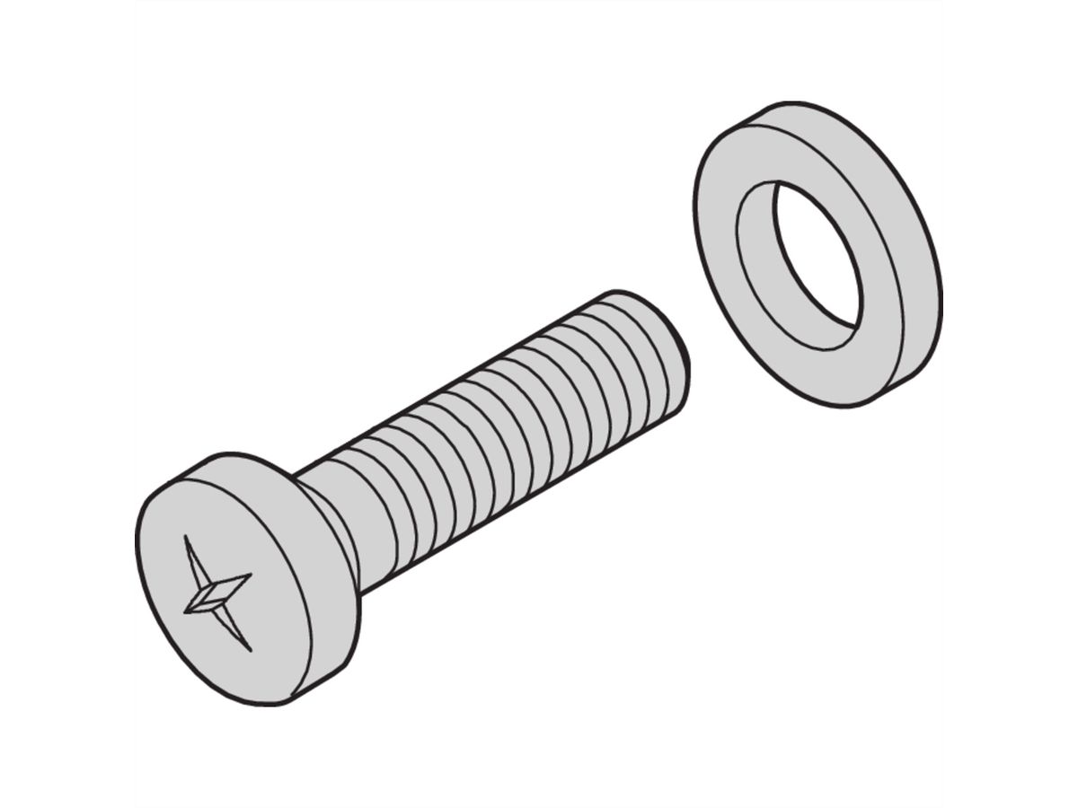 SCHROFF Screw (M5 x 10) and Washer (D5)