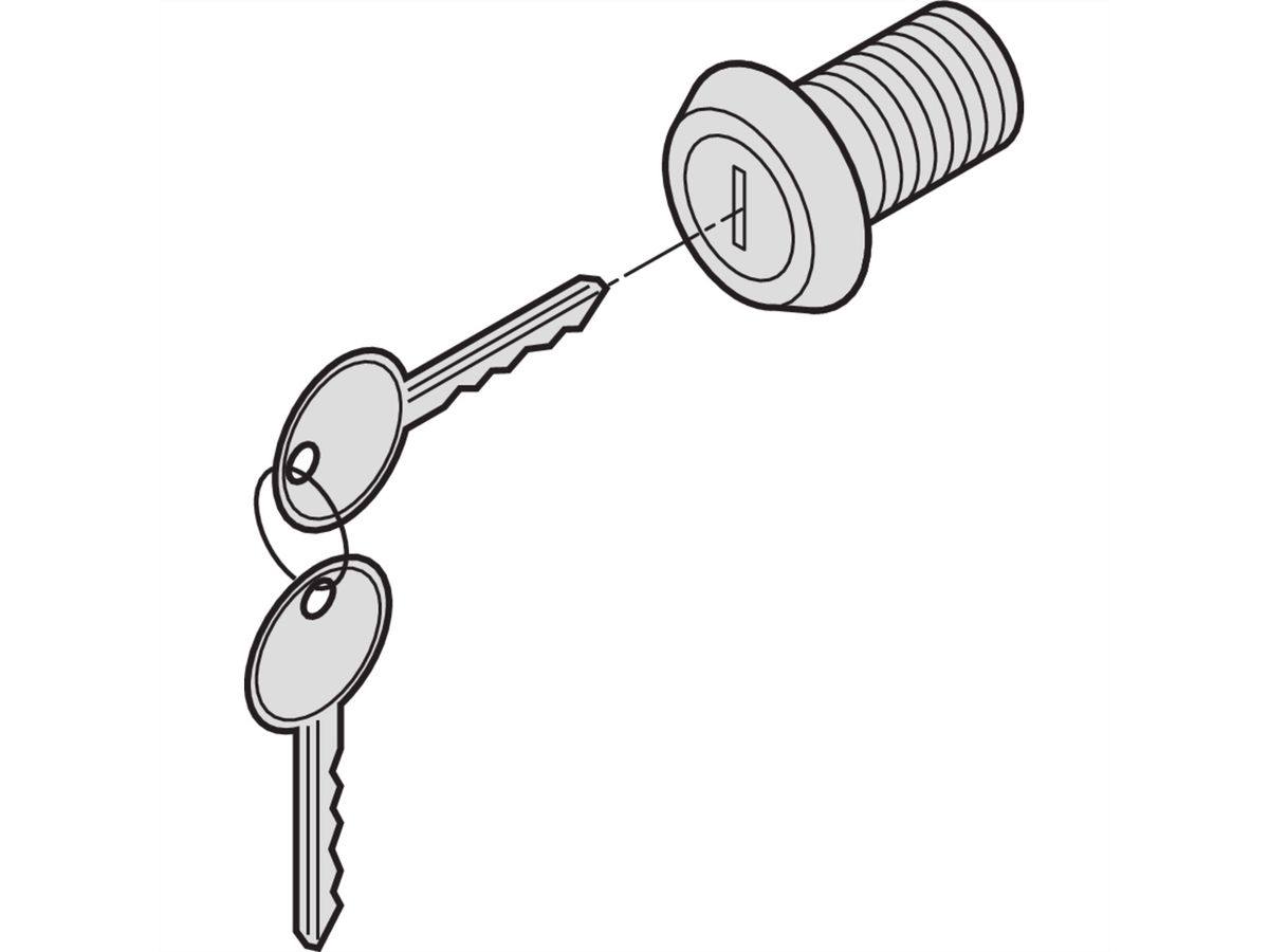 SCHROFF Varistar 19" Swing Frame Lock