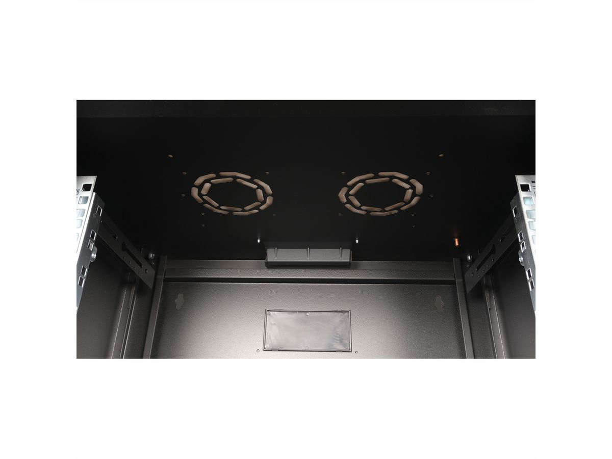 ROLINE 19-inch wandbehuizing Pro 20 U, 600x450 BxD zwart