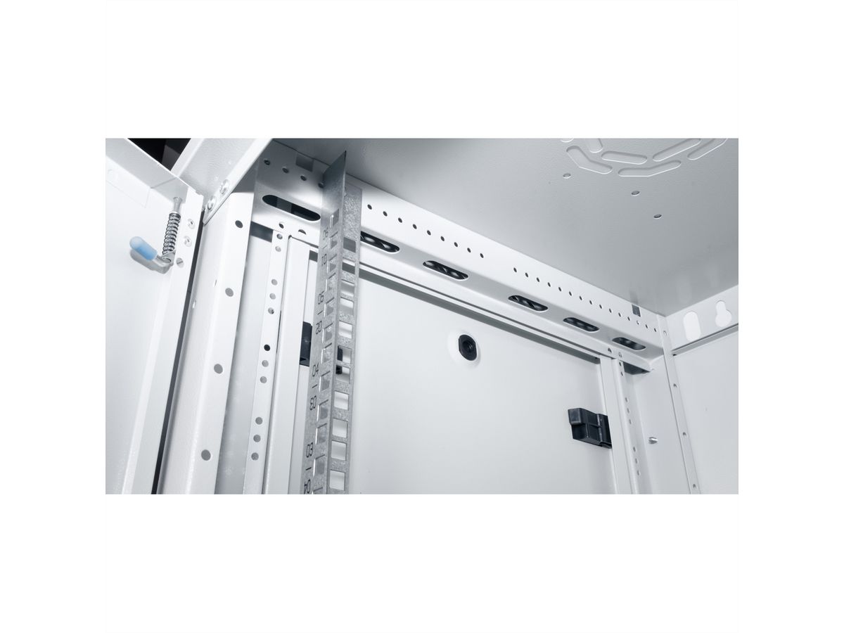 ROLINE 19" Wall Cabinet Basic Plus 6U, 600x450 BxT grey