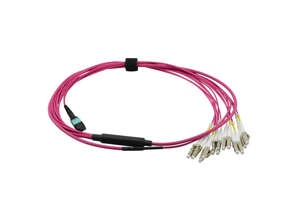 VALUE MPO Fan-Out Cable 50/125µm OM4, MPO/12x LC, violet, 2 m