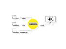 ROLINE HDMI/VGA/DP to HDMI Converter