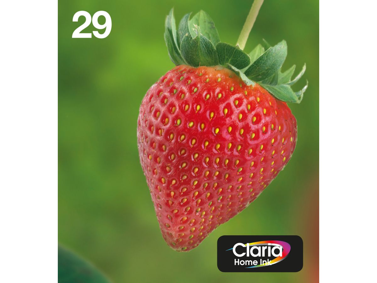 Epson Strawberry Multipack 4-colours 29 EasyMail