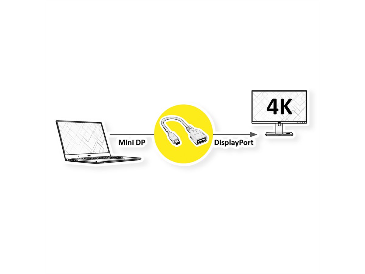 ROLINE DisplayPort Adapter, DP Female - Mini DP Male