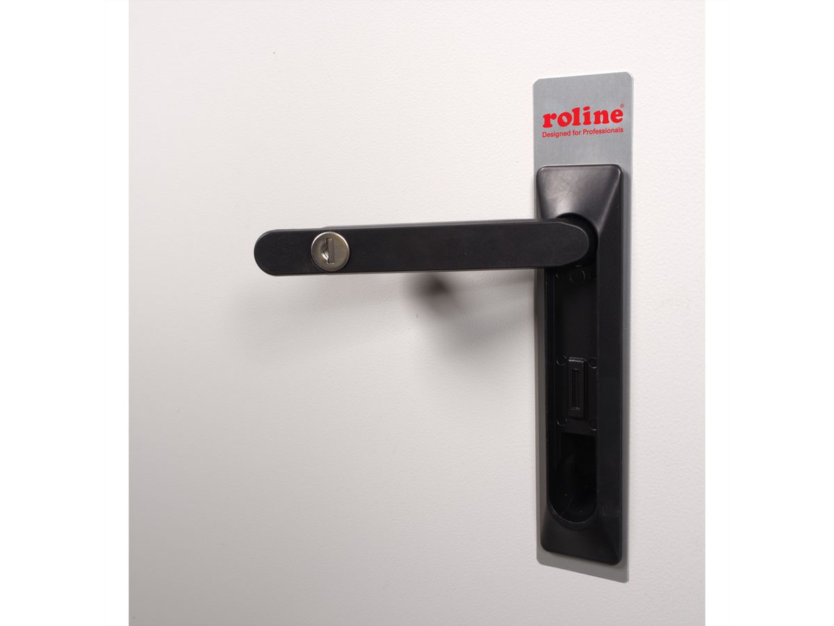 ROLINE 19-inch wandbehuizing Pro 12 U, 600x600 BxT IP55 buiten grijs