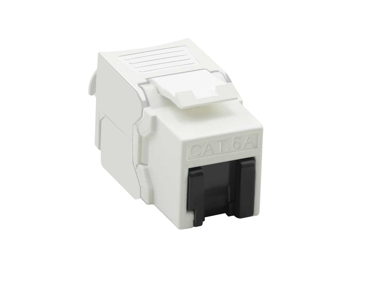 VALUE Cat.6A (Class EA) Keystone, RJ-45, onafgeschermd, zilver, zonder gereedschap, wit