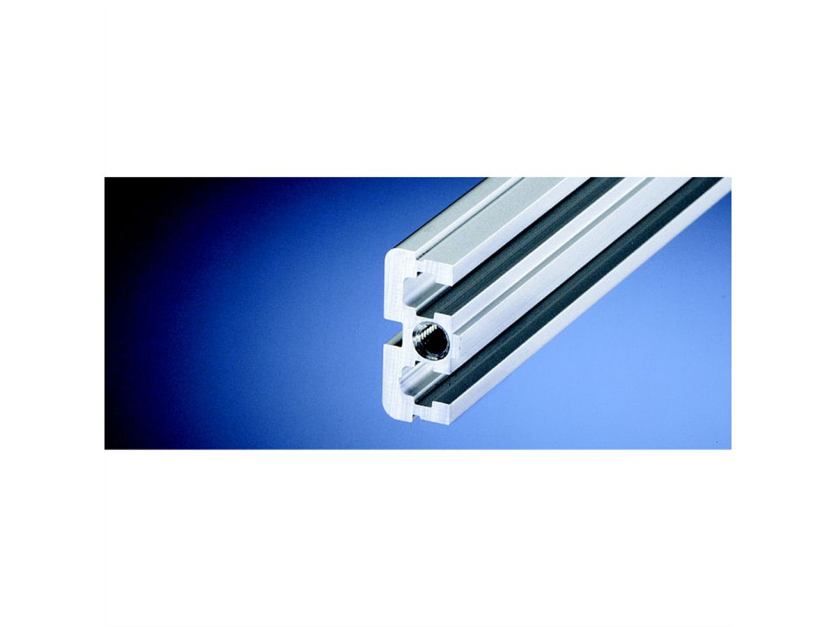 SCHROFF Horizontal Rail, Rear, Center, Type ST, Standard, 1000 mm