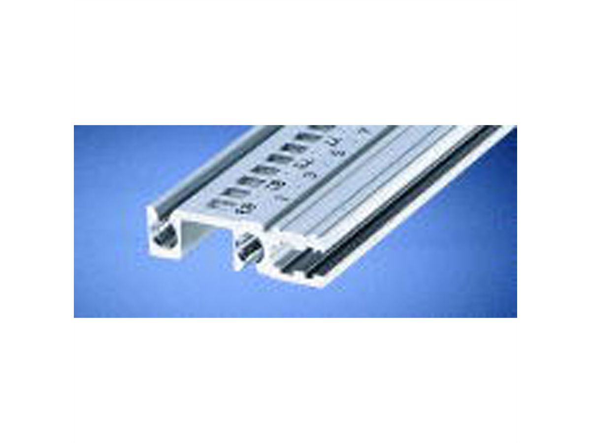 SCHROFF horizontale rail achter type H-VT, zwaar, 20 pk