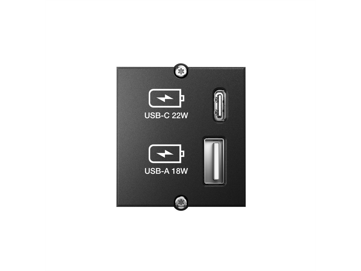 BACHMANN Custom USB Oplader Module Type A & Type C 22W, Snel opladen