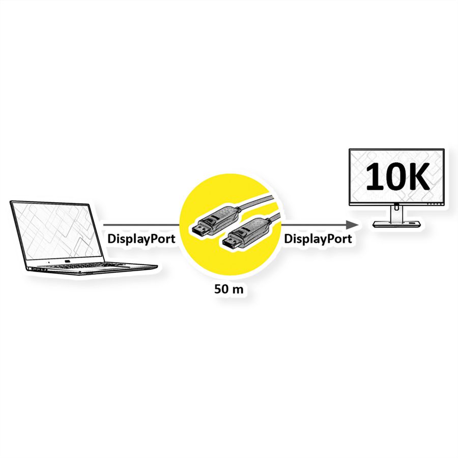 ROLINE DisplayPort v2.1 Kabel (AOC), M/M, 50 m