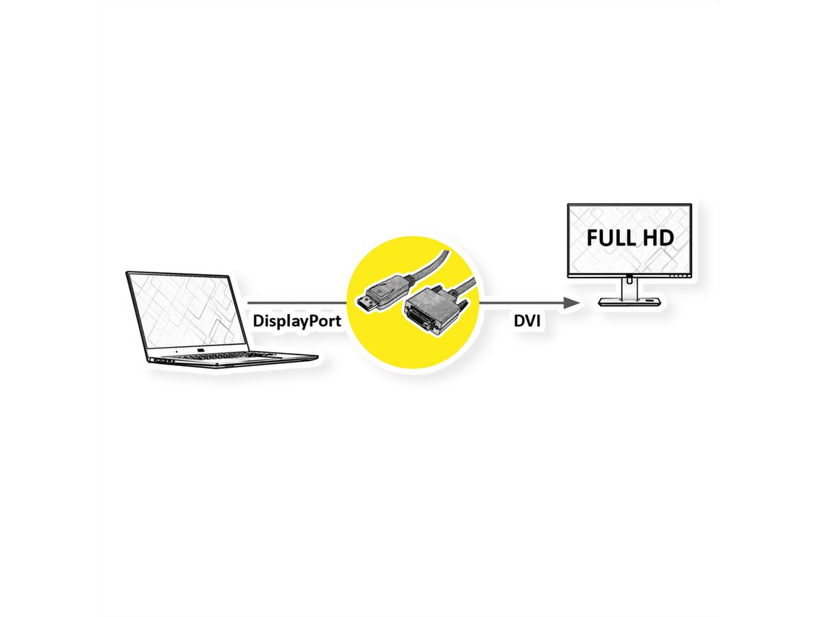 ROLINE DisplayPort Kabel DP Male - DVI Male (24+1), zwart, 3 m