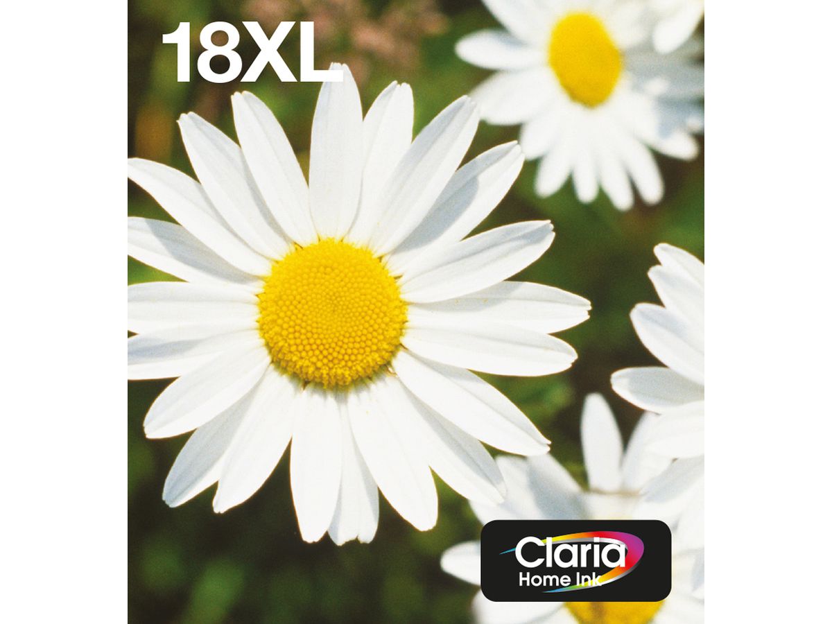 Epson Daisy Multipack 4-colours 18XL EasyMail