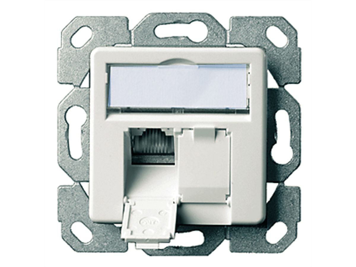 TELEGÄRTNER Dozen AMJ45 Inbouw/50 2x RJ-45 Cat.6 (Class E), wit, (A+B+C)