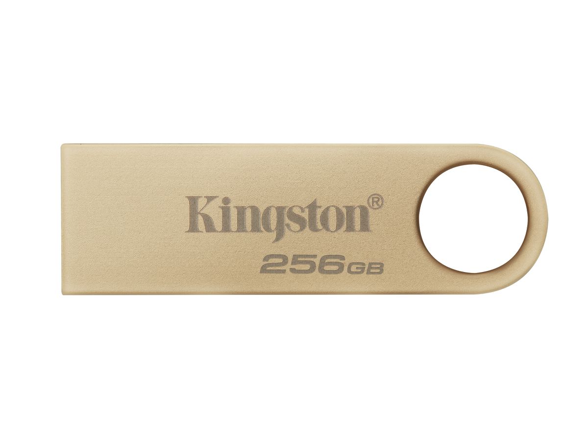 Kingston Technology DataTraveler 256GB 220MB/s Metal USB 3.2 Gen 1 SE9 G3