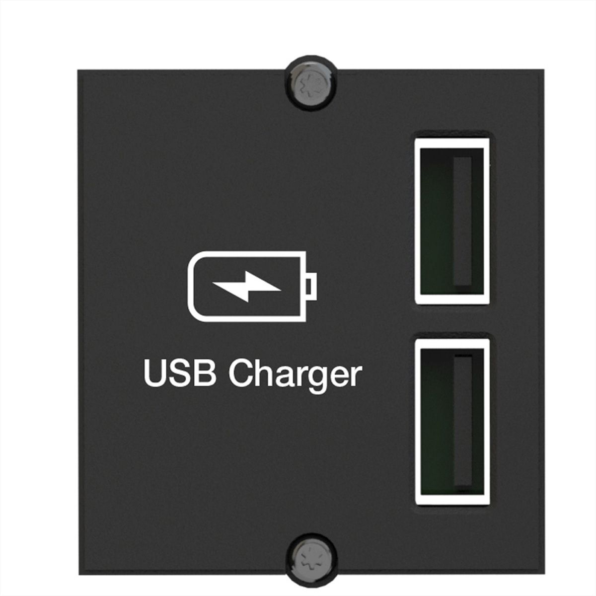 BACHMANN Custom Module USB Double Charger, black, 0.2 m
